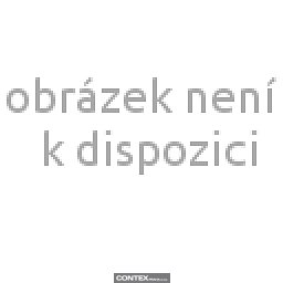 Obrázek produktu POSTER VISION DE